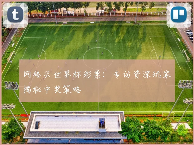网络买世界杯彩票：专访资深玩家揭秘中奖策略