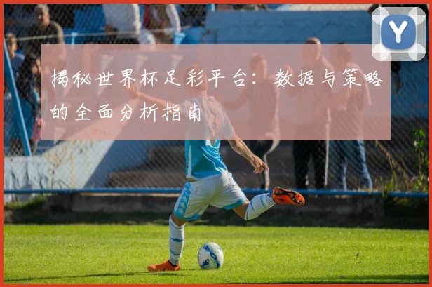 揭秘世界杯足彩平台：数据与策略的全面分析指南